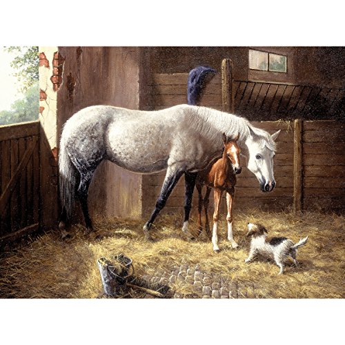 Malen nach Zahlen: Pferd mit Stall im cm) Fohlen (40×32